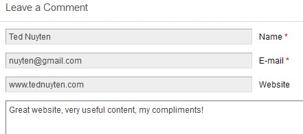 How To Use The Comment Box in WordPress